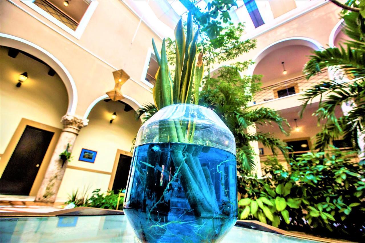 Holiday Inn Express Merida Centro By Ihg Екстер'єр фото